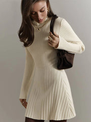 Long Sleeve High Neck Sweater Dress