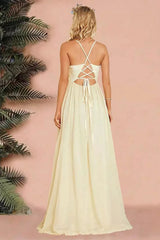 Sexy Backless Spaghetti Strap Party Gown Prom Dress