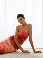 Semi-Sheer Mesh Midi Tube Dress