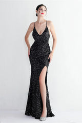 Elegant Velvet Sequin Party Dress