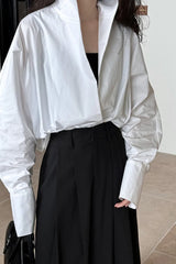 Stand Collar Deep V Layering Blouse