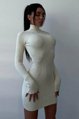 Semi-High Neck Slim Fitted Knit Sweater Dress