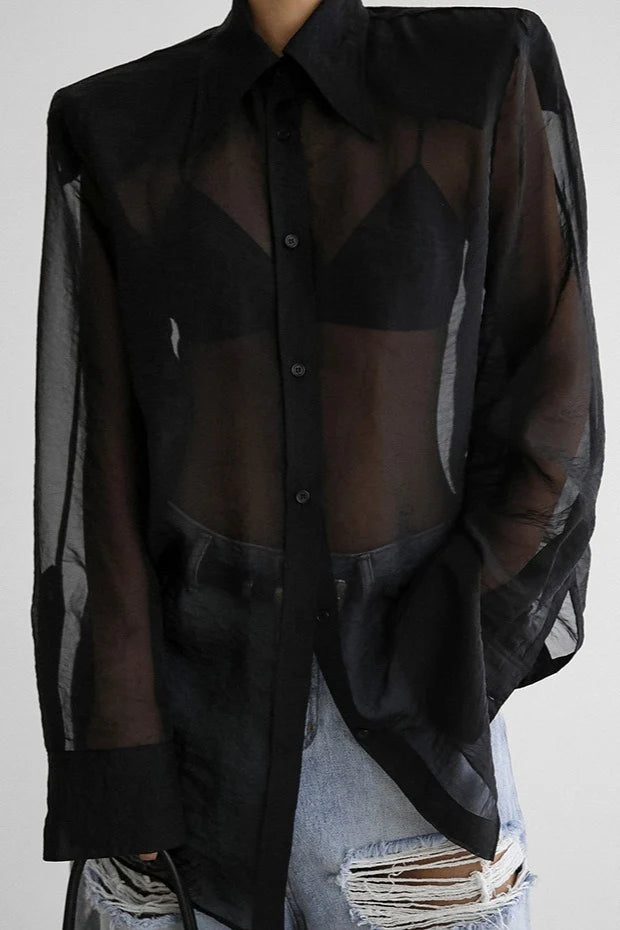 Sheer Mesh Long Sleeve Shoulder Pad Blouse